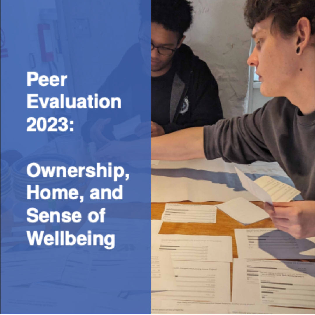 Peer Evaluation 2023